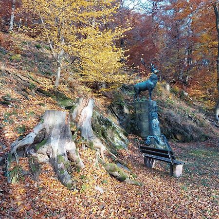 Haus Anastasia Daire Stolberg i. Harz Dış mekan fotoğraf