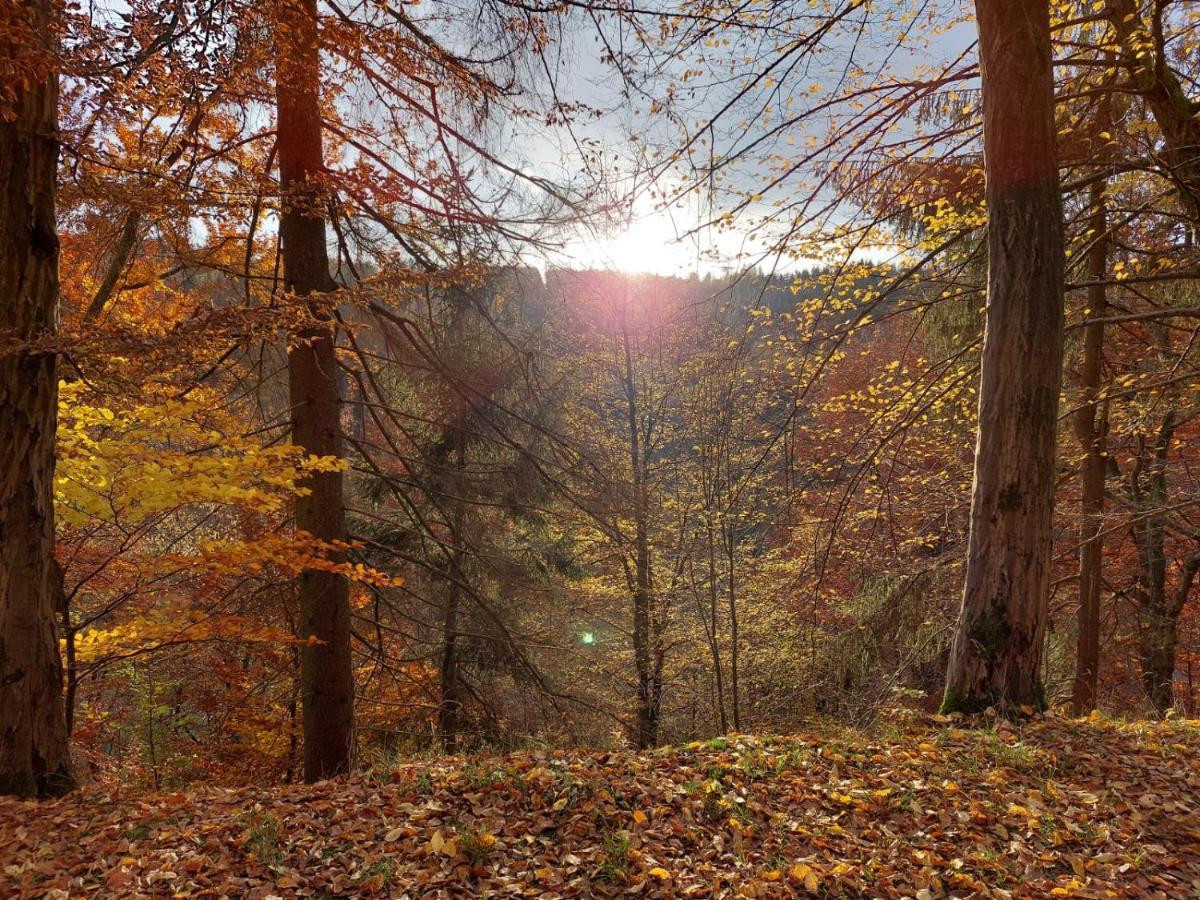 Haus Anastasia Stolberg i. Harz Dış mekan fotoğraf