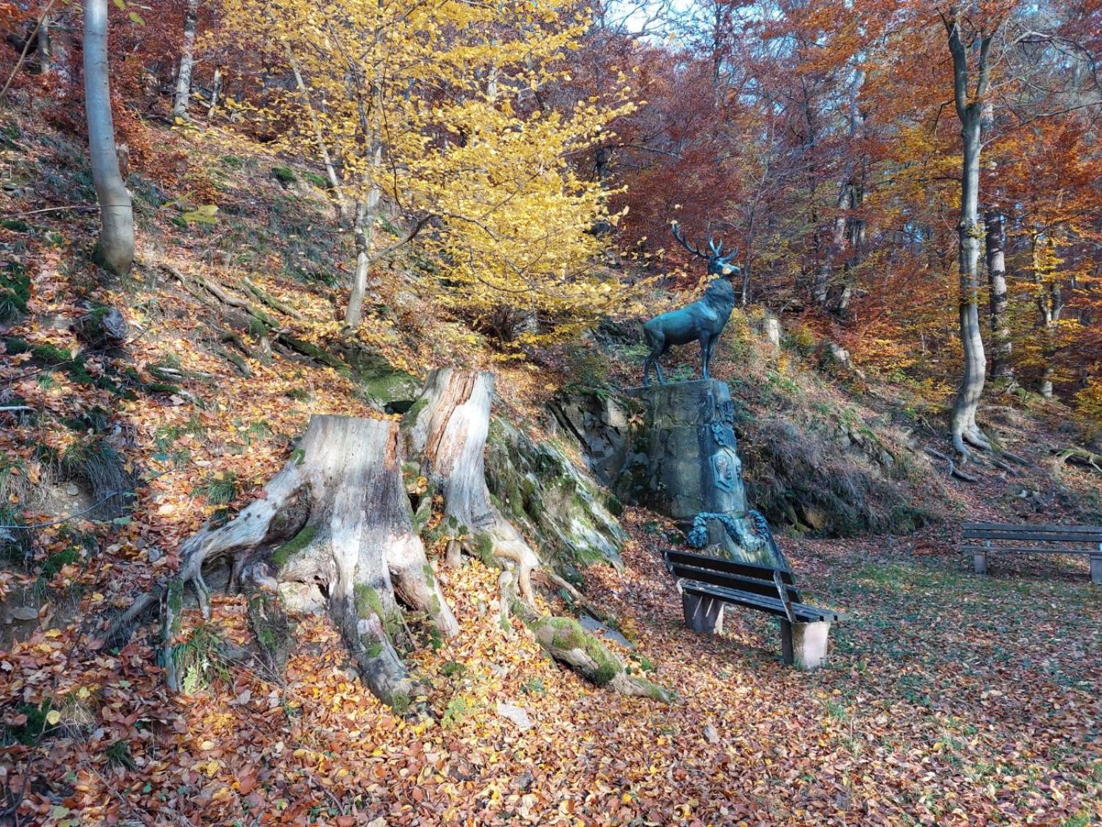 Haus Anastasia Daire Stolberg i. Harz Dış mekan fotoğraf